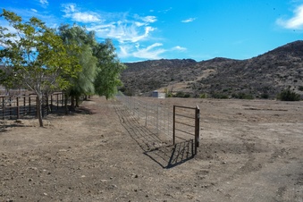 Enlarge photo 48