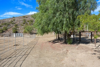 Enlarge photo 51