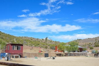 Enlarge photo 53