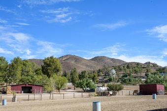 Enlarge photo 54