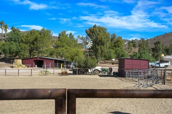 Enlarge photo 57