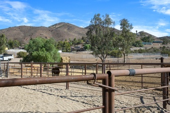 Enlarge photo 58
