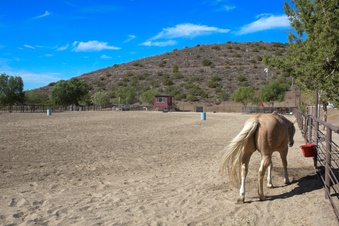 Enlarge photo 62