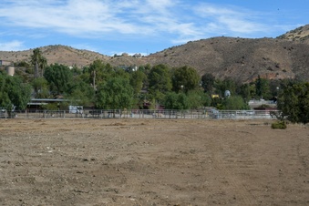 Enlarge photo 63
