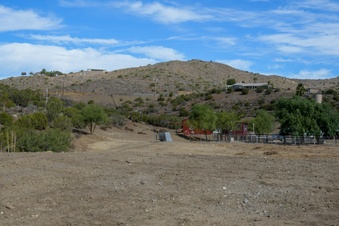 Enlarge photo 64