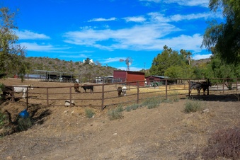 Enlarge photo 66