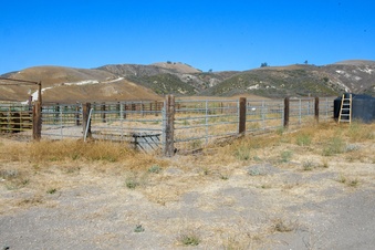 Enlarge photo 28