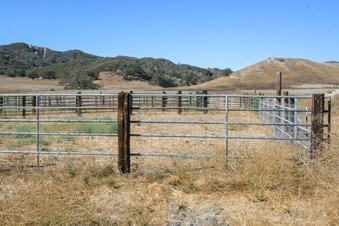 Enlarge photo 30