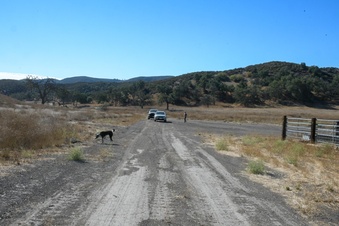 Enlarge photo 32