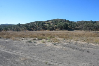 Enlarge photo 37