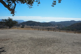 Enlarge photo 43