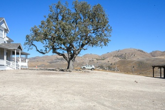Enlarge photo 45