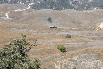 Enlarge photo 49