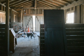 Enlarge photo 59