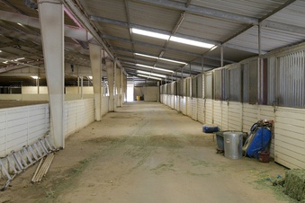 Enlarge photo 24