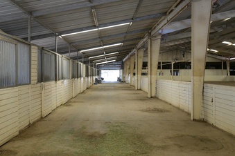Enlarge photo 28
