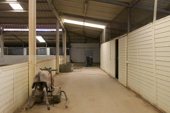 Enlarge photo 31