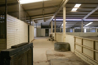 Enlarge photo 32