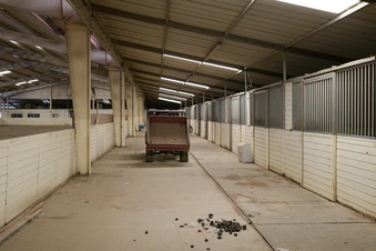 Enlarge photo 34