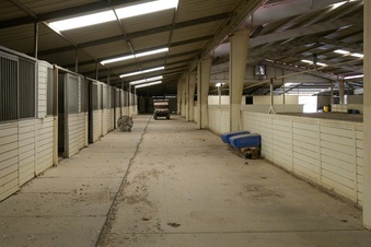 Enlarge photo 36
