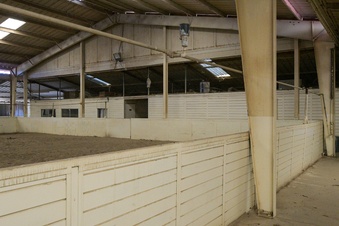Enlarge photo 38