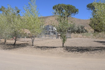 Enlarge photo 42