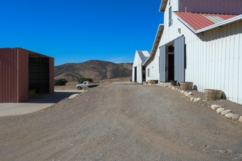 Enlarge photo 45