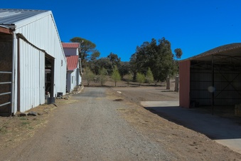 Enlarge photo 47