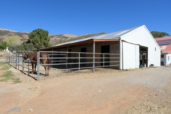 Enlarge photo 48