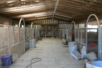 Enlarge photo 50