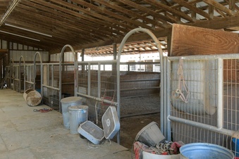Enlarge photo 52