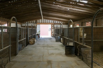 Enlarge photo 53