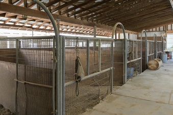 Enlarge photo 54