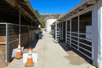 Enlarge photo 57