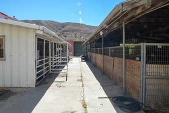 Enlarge photo 58