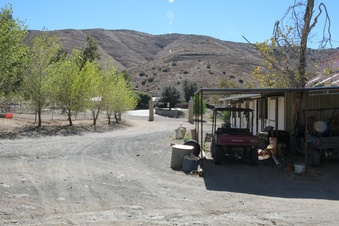 Enlarge photo 66