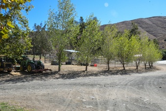 Enlarge photo 67
