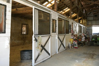 Enlarge photo 76