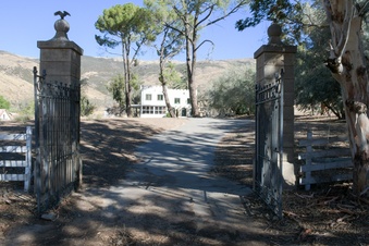 Enlarge photo 77