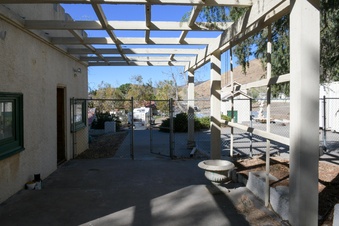 Enlarge photo 86