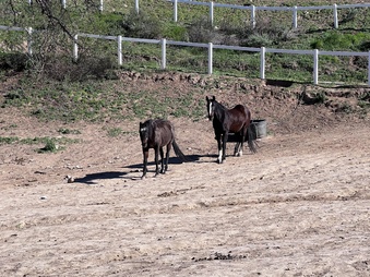 Enlarge photo 8
