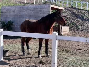 Enlarge photo 9