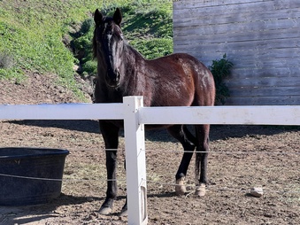 Enlarge photo 10