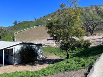 Enlarge photo 16