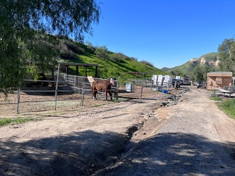 Enlarge photo 24