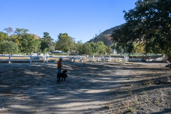 Enlarge photo 40