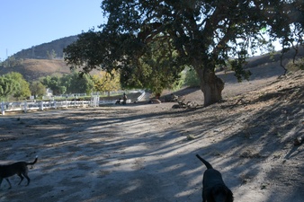 Enlarge photo 41