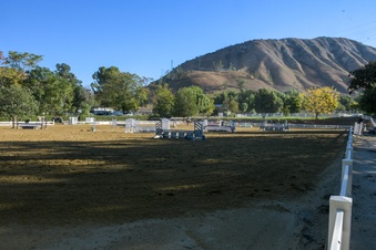 Enlarge photo 42
