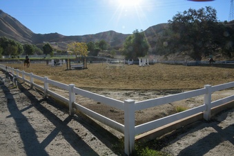 Enlarge photo 43