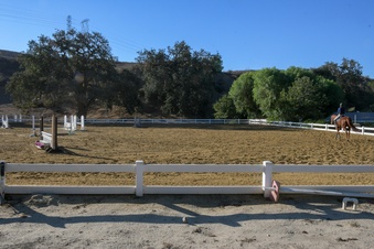 Enlarge photo 44
